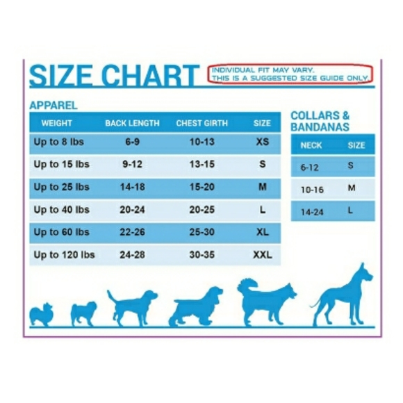 💥NEW LICENSED RAPTORS COLLAR - Picture 3 of 7